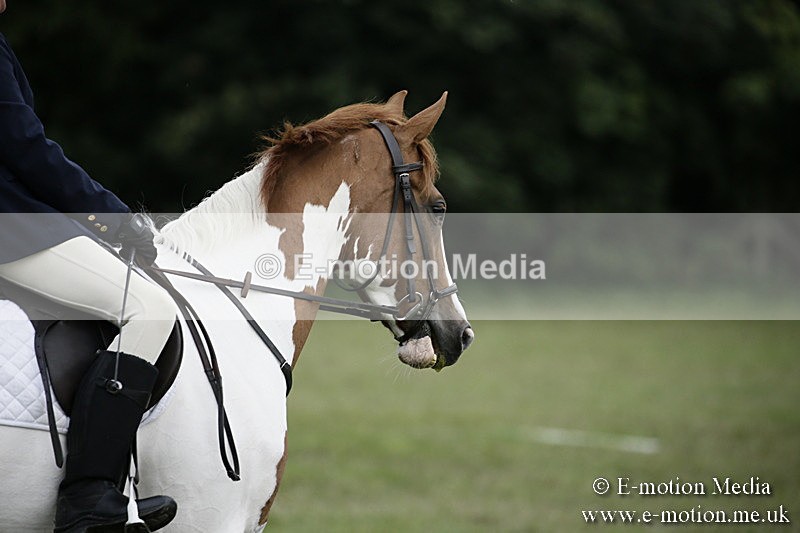BVR090918 8 - BVRC Dressage and Show Jumping 09/09/18