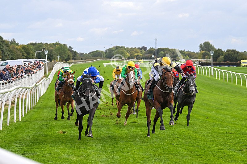 021024-Race 2-Al Hussar-9173 - Race 2