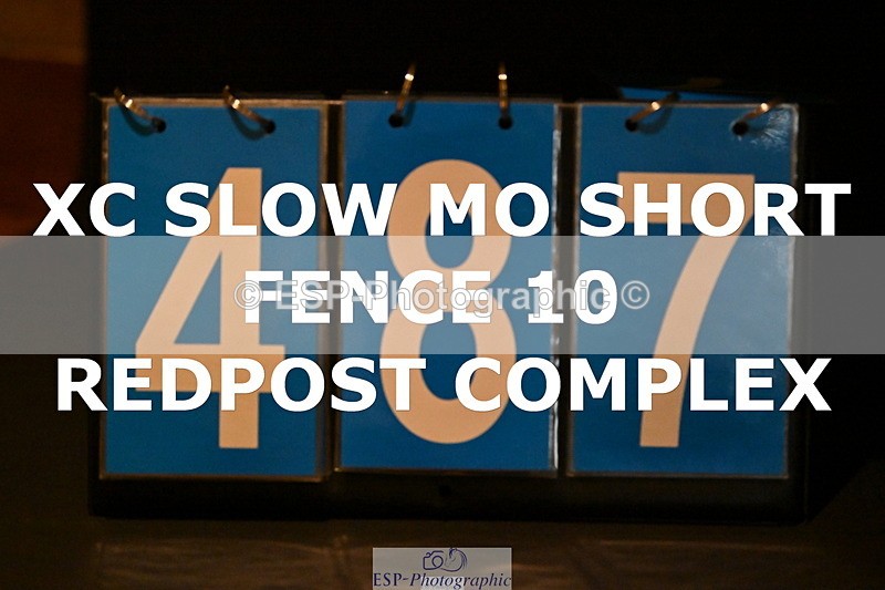 ESP_487 - F-487-Polly.McHardy