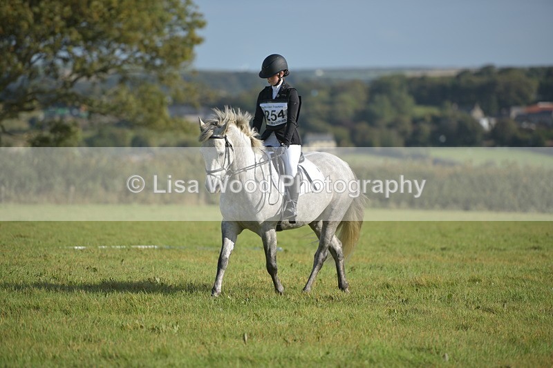 RAY_7355 - Class 2B: Trekenning Open: Dressage