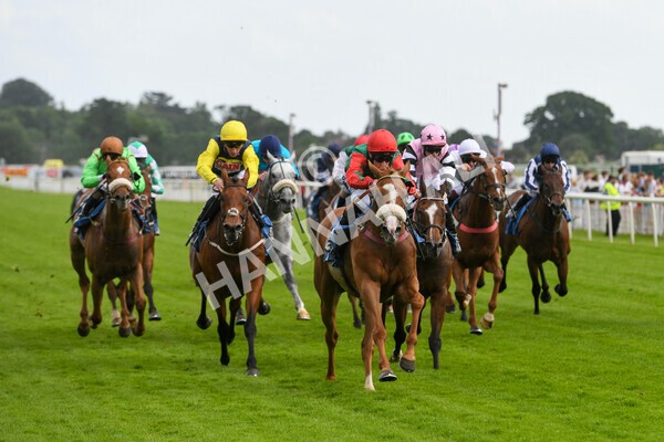 yr10062022r5-28 - Race 5 4.05pm Irish Thoroughbred Marketing Stakes