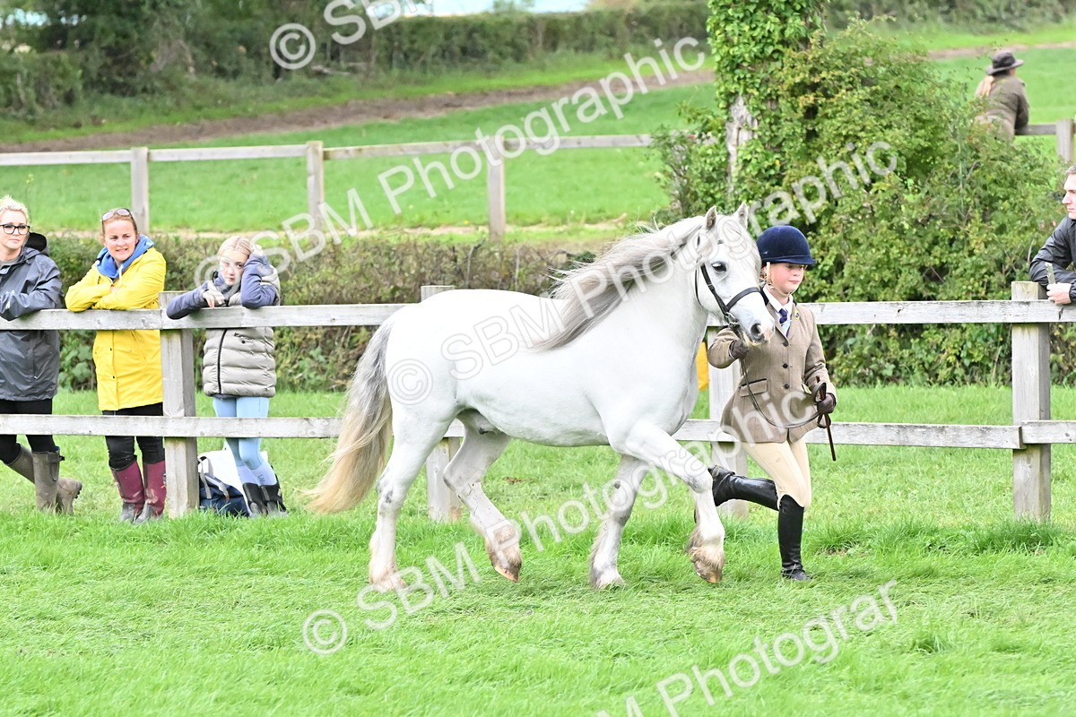 SBM_68537 - S42 - Junior Handler 9-12 Years