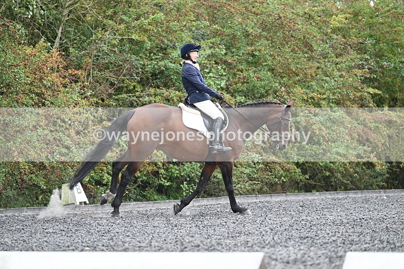 WJ7_4104 - Time 11:43 to 12:09