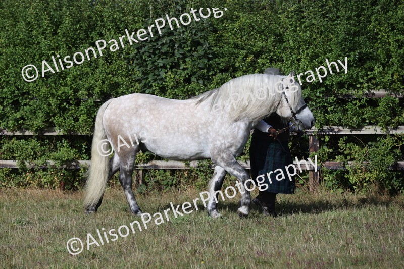 20250831-1293 - Class 21 - Inhand Open