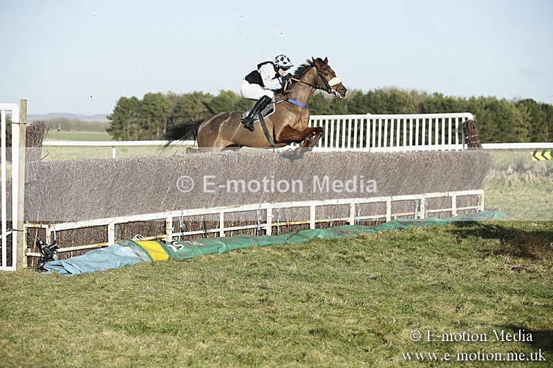 PtP 070118 -442 - Larkhill Racing Club Point to Point Larkhill 07/01/2018
