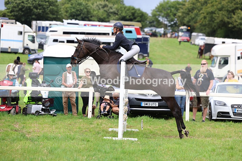 3E7A7342 - Class 5: Senior British Novice/90cm open