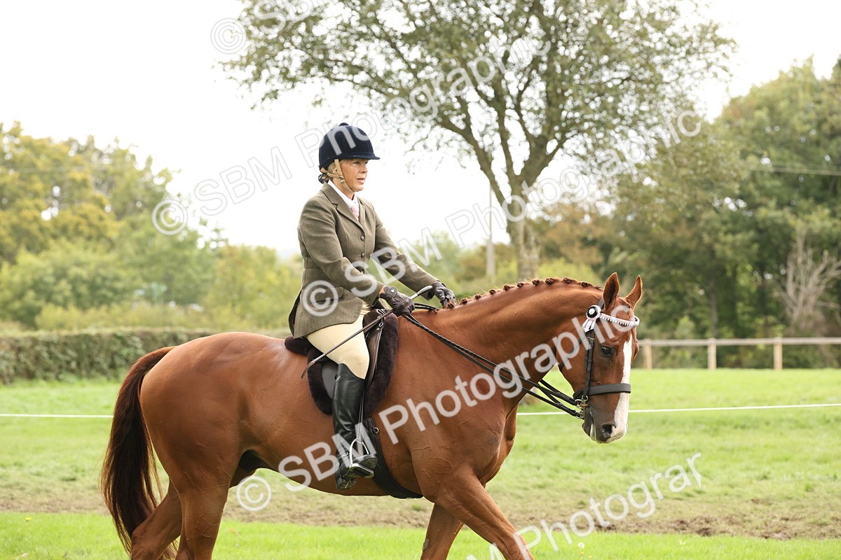 SBM_64143 - S65 - Riding Horse & Hack & Thoroughbred Ridden