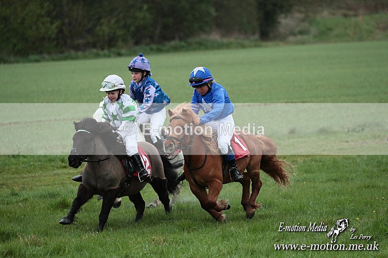 SHETPR 210425 184 - Shetland Ponies Paxford Races 21/04/25