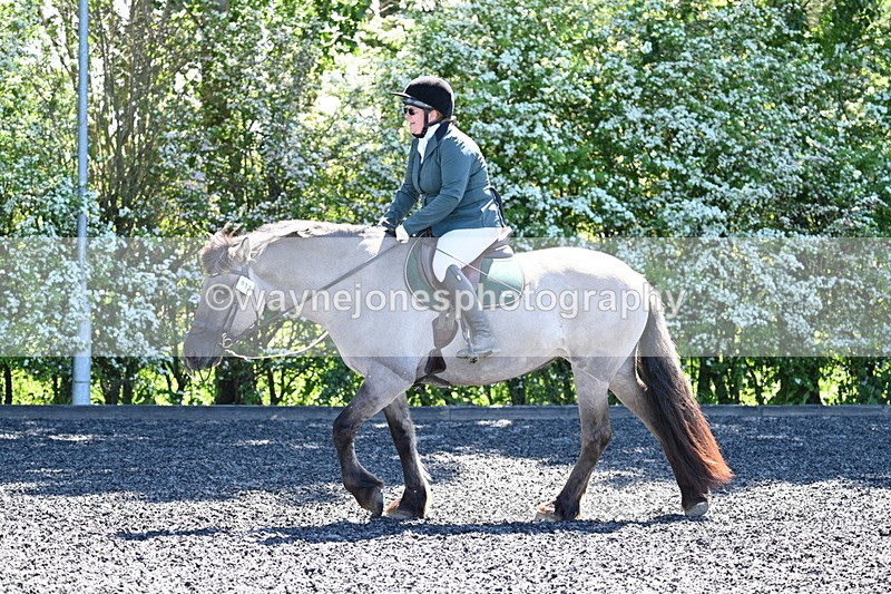 WJ7_9501 - Time 12:10 to 12:21