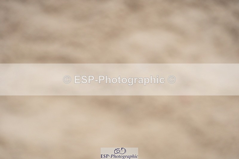 230924A-112452-04542 - 100 SJ 11.00 to 12.00