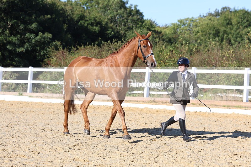 3E7A5219 - Class 7: Novice Ridden Hunter/Hack/RH/Cob