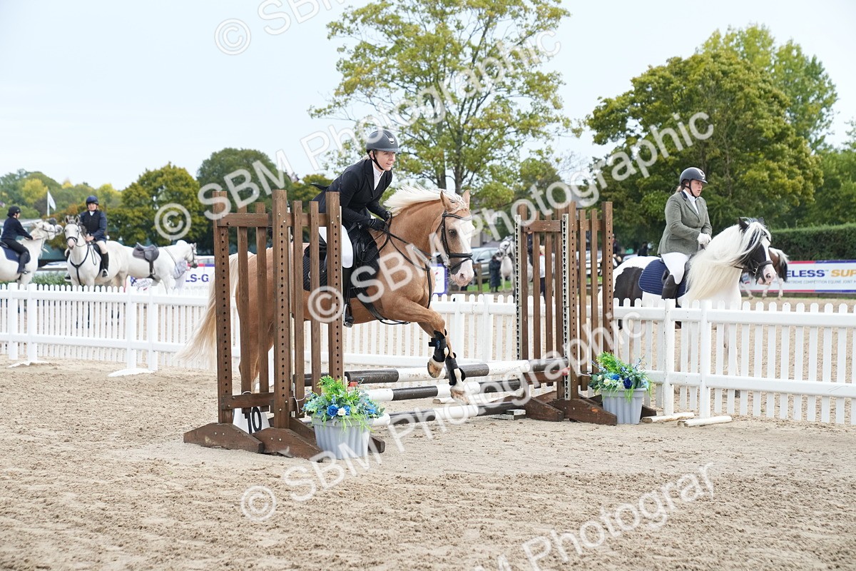 SBM_01414 - J54 - Clear Round 50cm