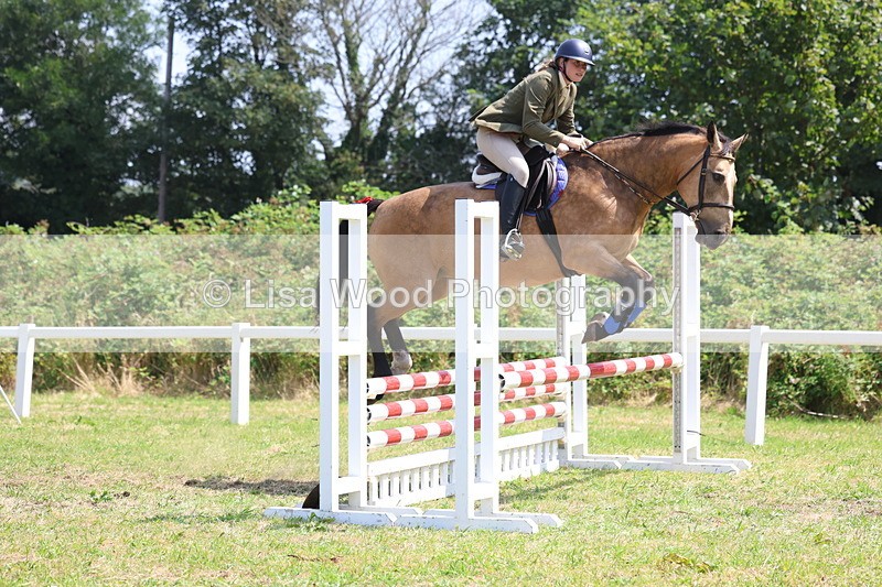 3E7A2979 - Class 7: Senior British Novice/90cm open