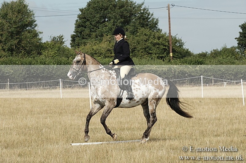 _PJP5712 - Dressage Classes BVRC Show 2018