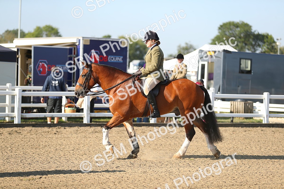 SBM_00506 - Class 41 Best Turned Out Ridden