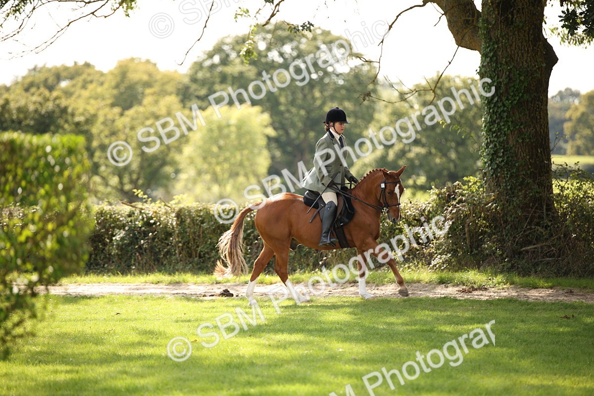 SBM_49978 - S26 - Young Veteran - Ridden