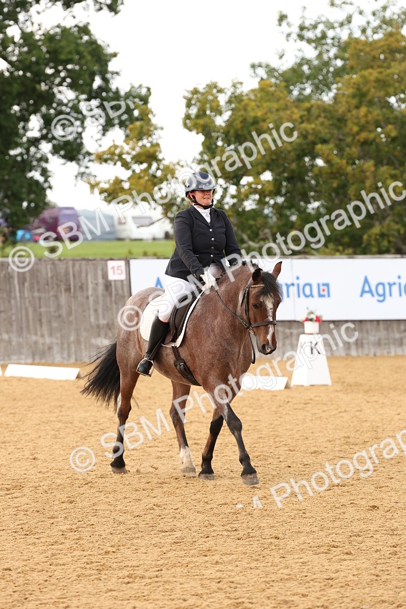 SBM_10649 - D9 - Small Tour Championship Prelim 3