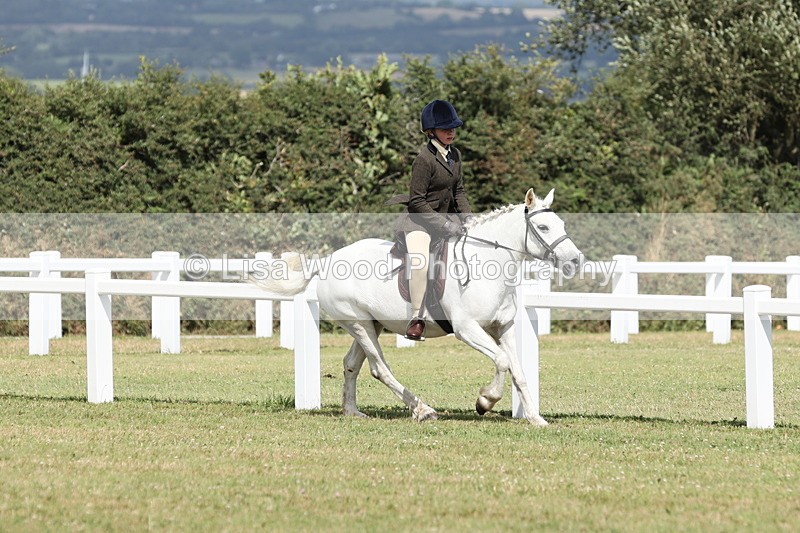 JPP_2386 - Class 19: Working Hunter 60cm