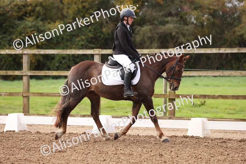 20251021-0013 - Class 2 - Intro 4