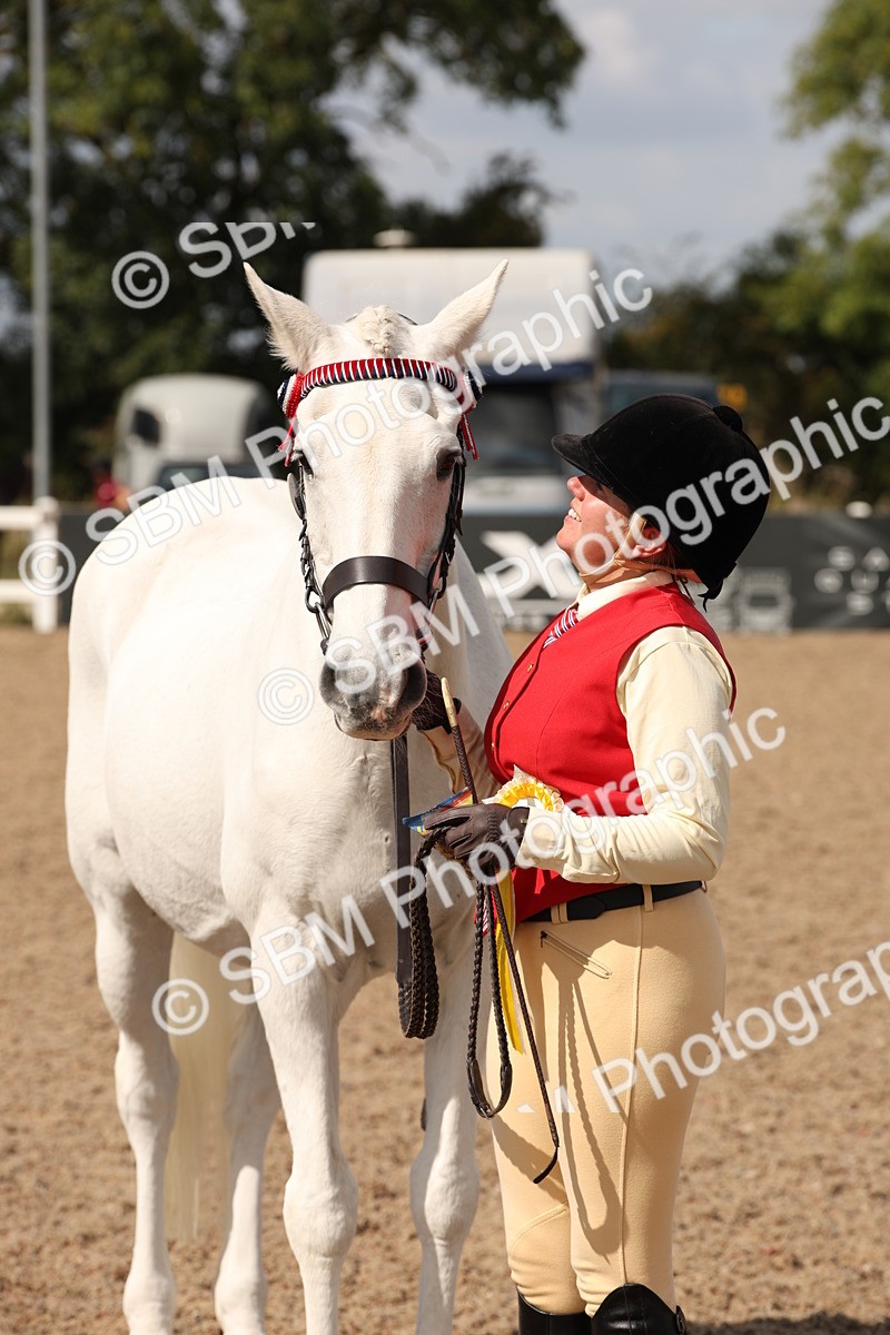 SBM_03463 - Class 18 Handsomest Gelding (IH or Ridden)
