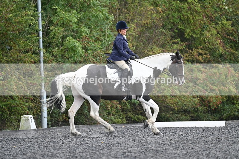 WJ7_5368 - Time 12:38 to 13:28