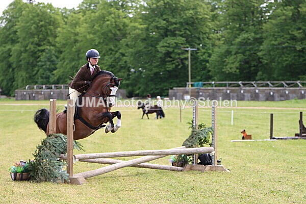 IMG_2869 - Working Hunter