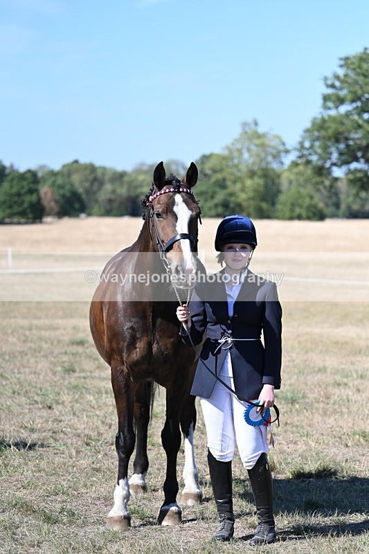 WJ7_1665 - Class 42 Most Handsome Gelding