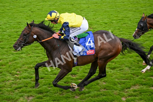 240824-Race 2-Tabletalk-1339 - Race 2 2.25pm Sky Bet Melrose Handicap