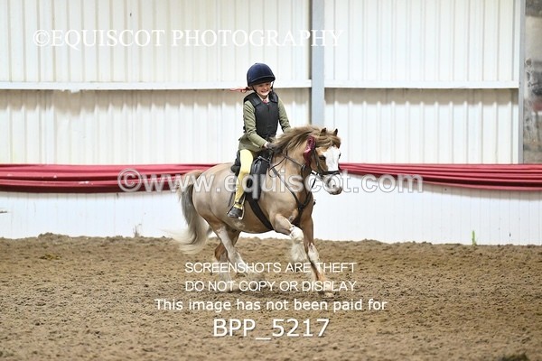 BPP_5217 - CLASS 4 50cm