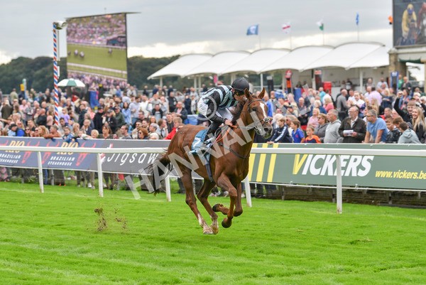 230923-Race 2-Palamon-6049 - Race 2 2.35pm jigsawsportsbranding.co.uk Handicap