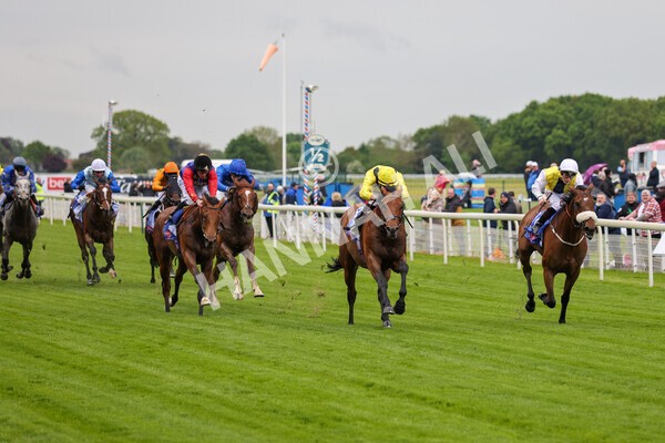 yr11052022r1-19 - Race 1 1.50pm Sky Bet Race to the Ebor Jorvik Stakes