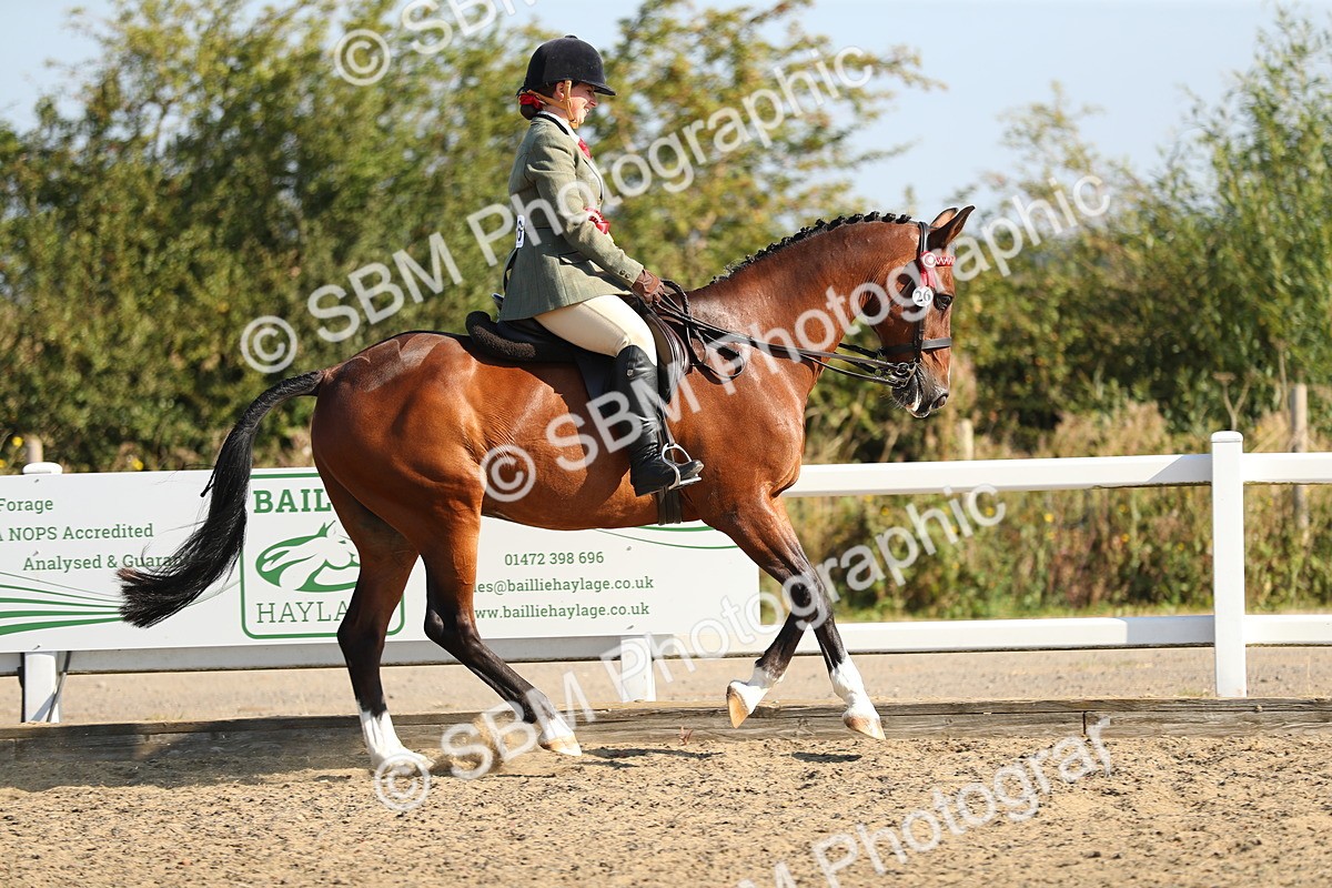 SBM_01259 - Class 42 Ridden Veteran