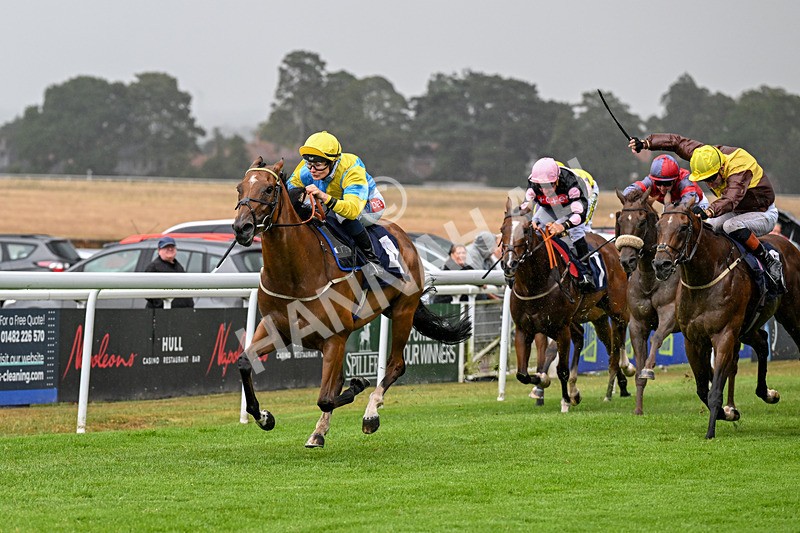 150725-Race 4-Without Flaw-0558 - Race 4