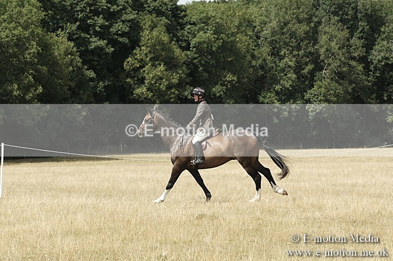 _PJP6064 - BVRC Show 2018 Ring 1