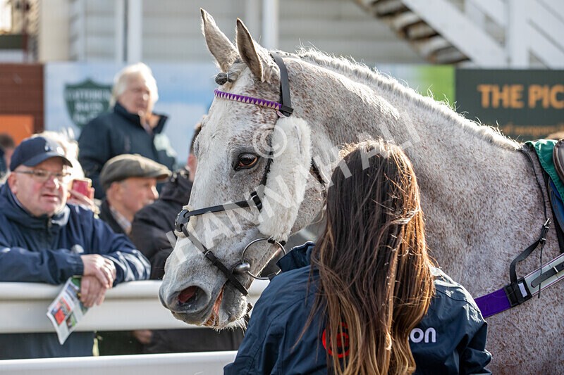 250225-Race 1-Quian-6146 - Race 1