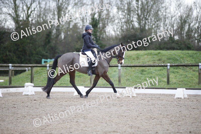 20260127-0265 - Class 16 - BD Novice 2