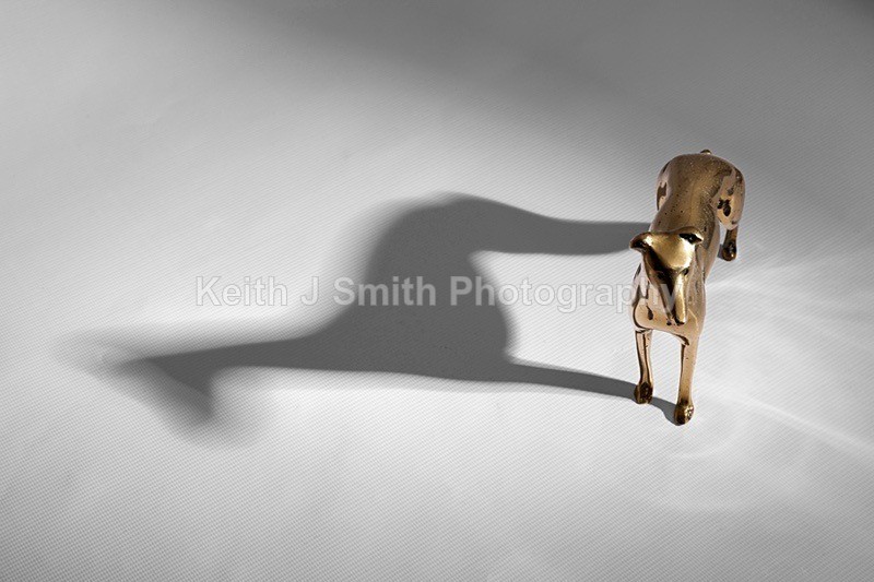 7SKJ3809 - Studio Still Life