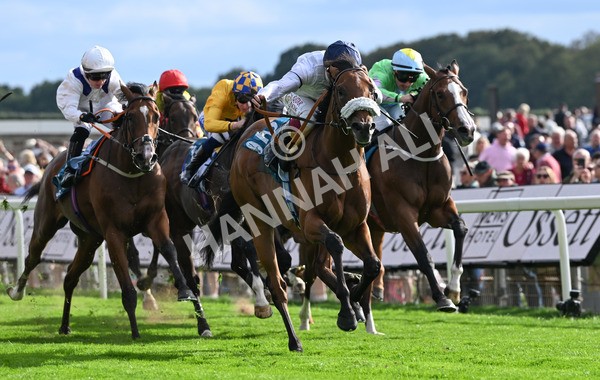 210825-204 Stellar Sunrise - Race 6 4.45pm Mews Hotel Ossett EBF Stallions Nursery Handicap