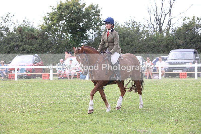 JPP_3910 - Class 23: Working Hunter 80cm