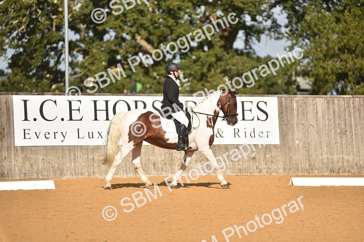 SBM_02933 - D4 - Small Tour Championship Intro 4