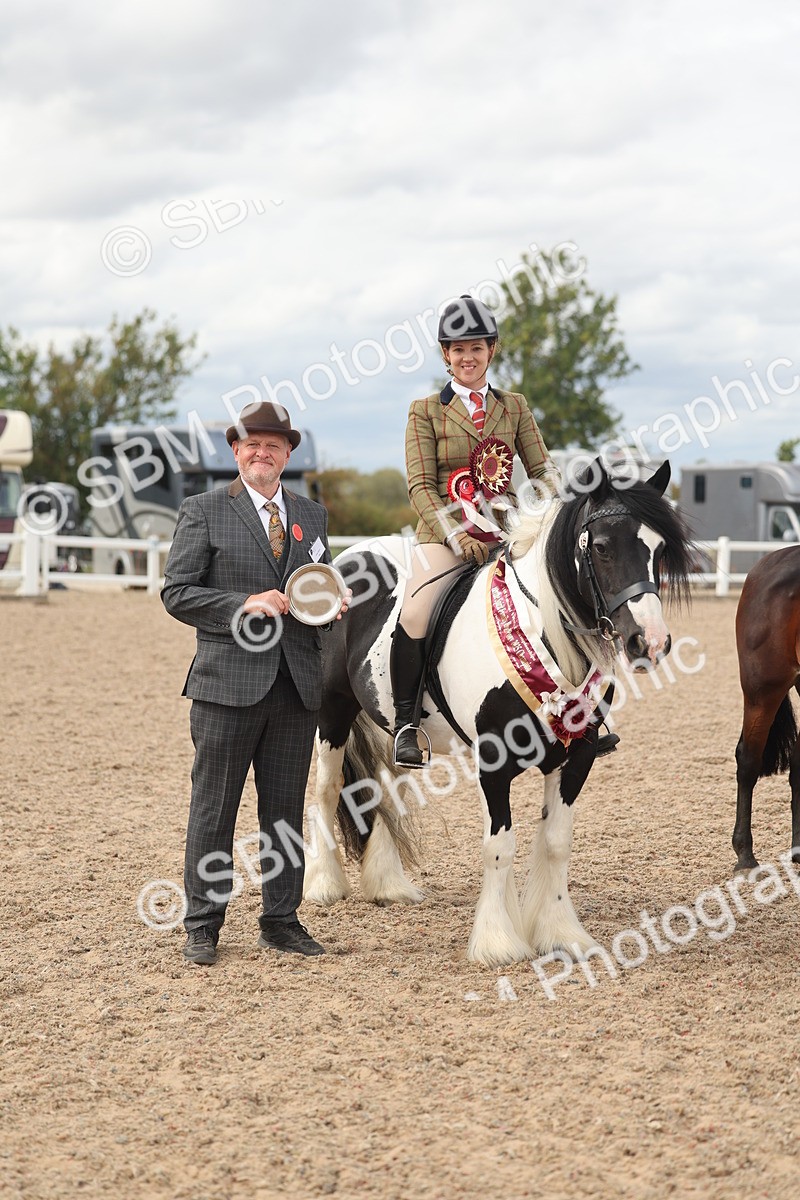 SBM_18064 - Class 314 - Family Horse Pony