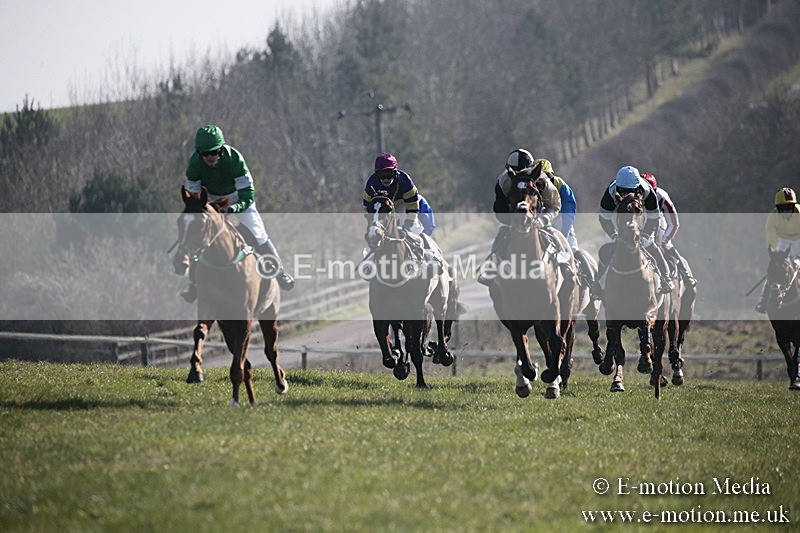 PtP 240218 141 - Vine & Craven Hunt Point-to-Point Barbury racecourse 24/02/18