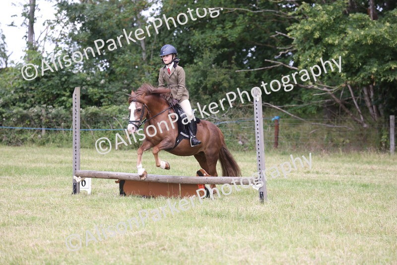 20260614-2077 - Class 21 - Novice Working Hunter Pony