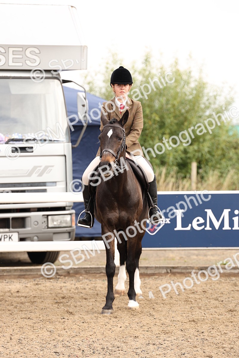 SBM_01554 - Class 52 - Ridden Veteran