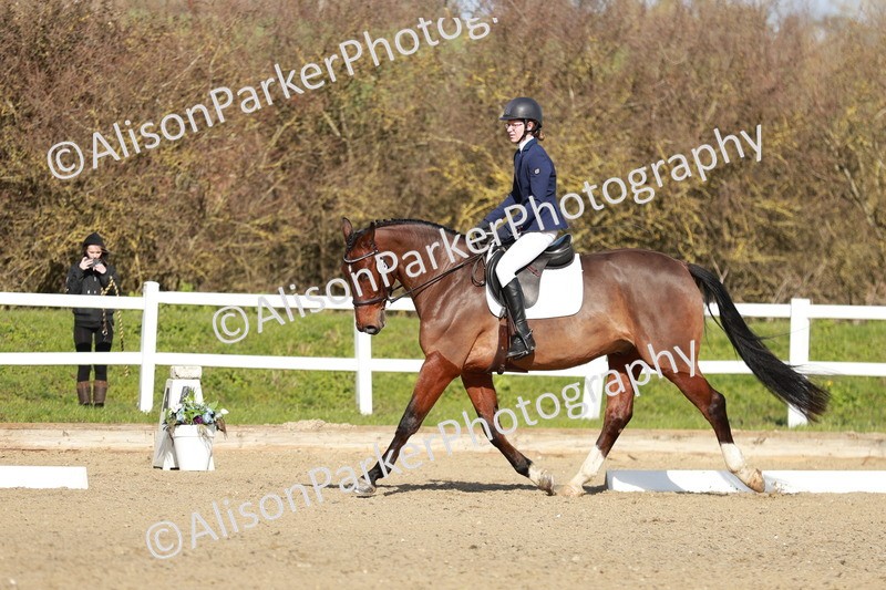 20260314-4416 - DR4 - Prelim 2