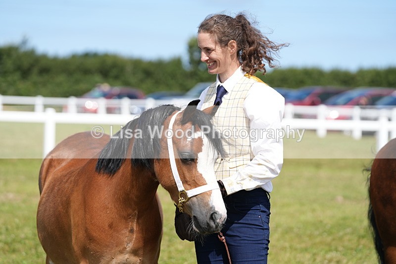 DSC05623 - Class 50: NPS M&M 4 years and over Small Breeds