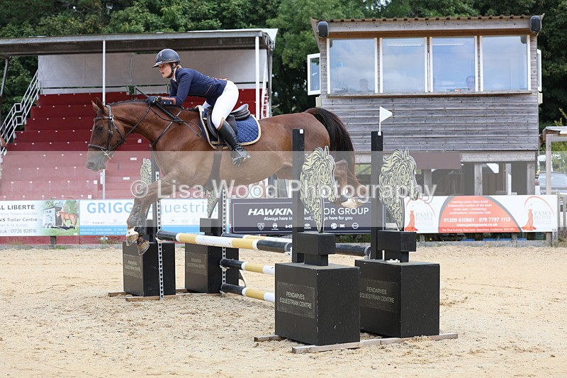 3E7A3288 - Class 4: Senior British Novice/90cm open