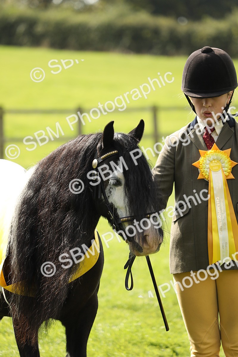 SBM_66313 - In Hand Pony & Youngstock Supreme Championship