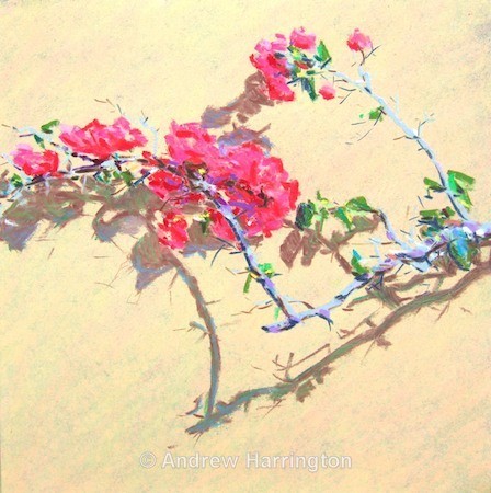 dancing shadows - Paintings 7