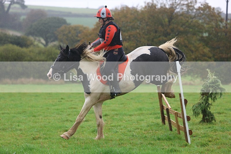 3E7A1010 - Class 1: 65cm: Rails